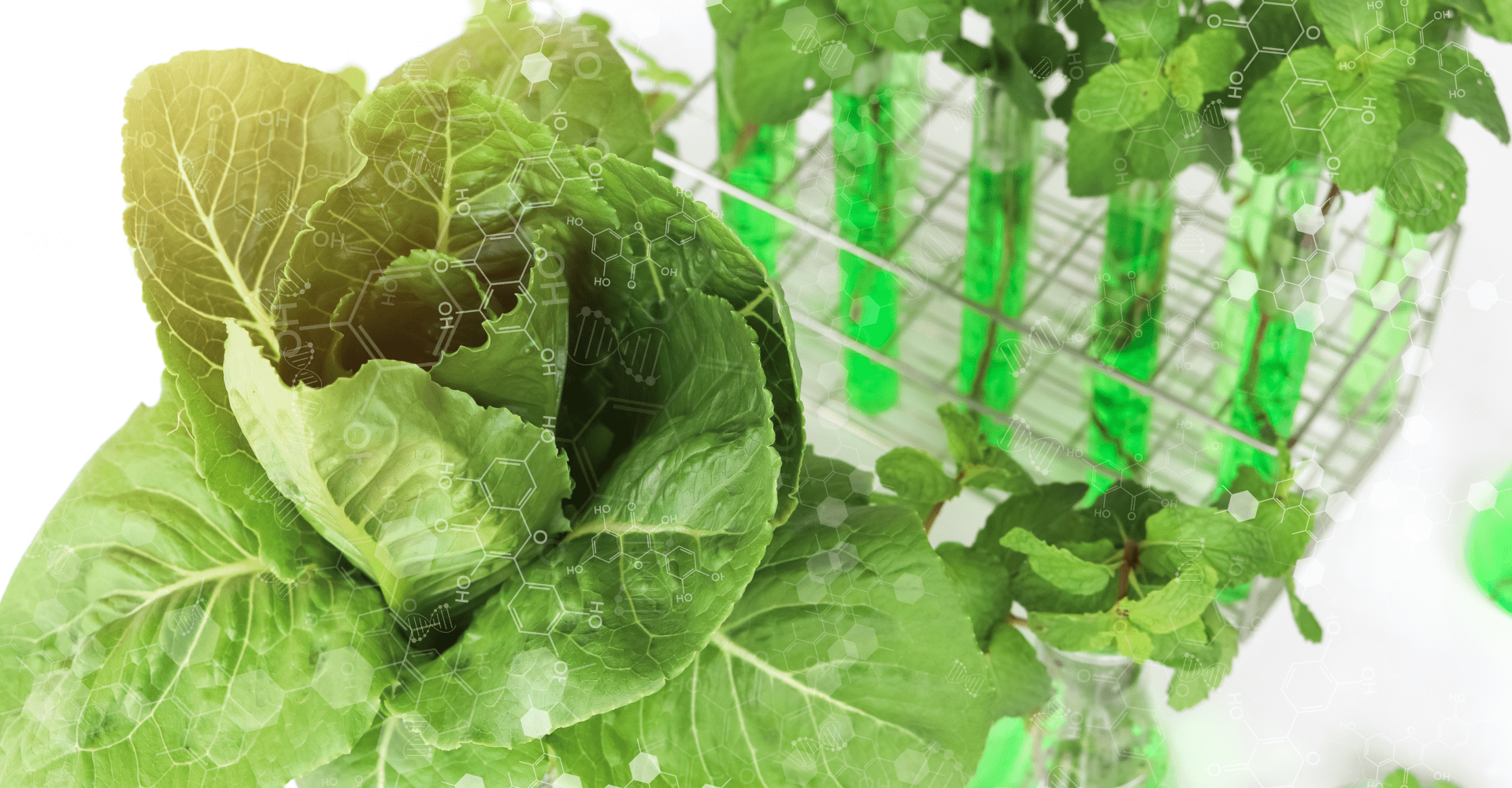 Научная и просветительская деятельность