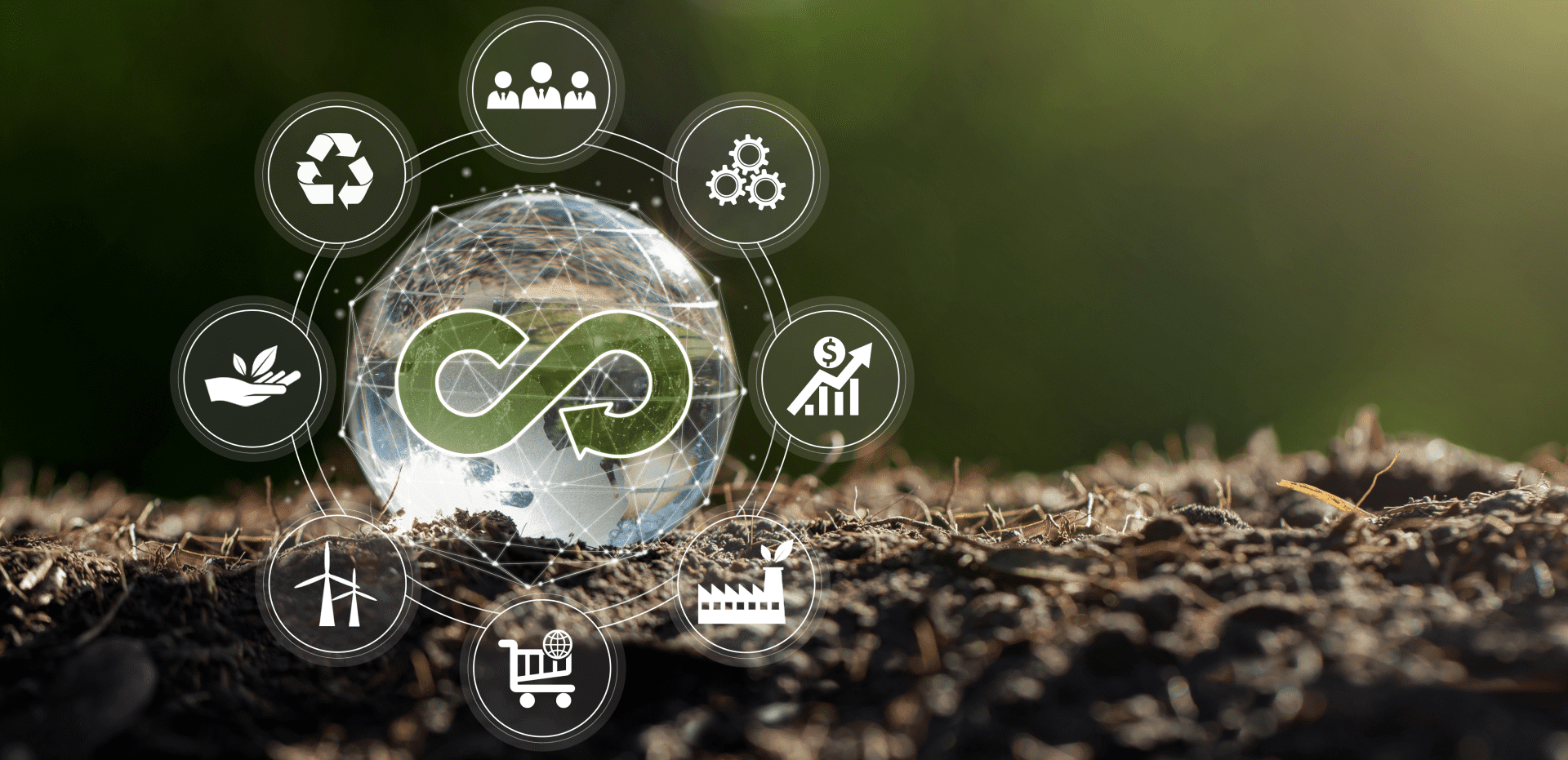 Научная и просветительская деятельность