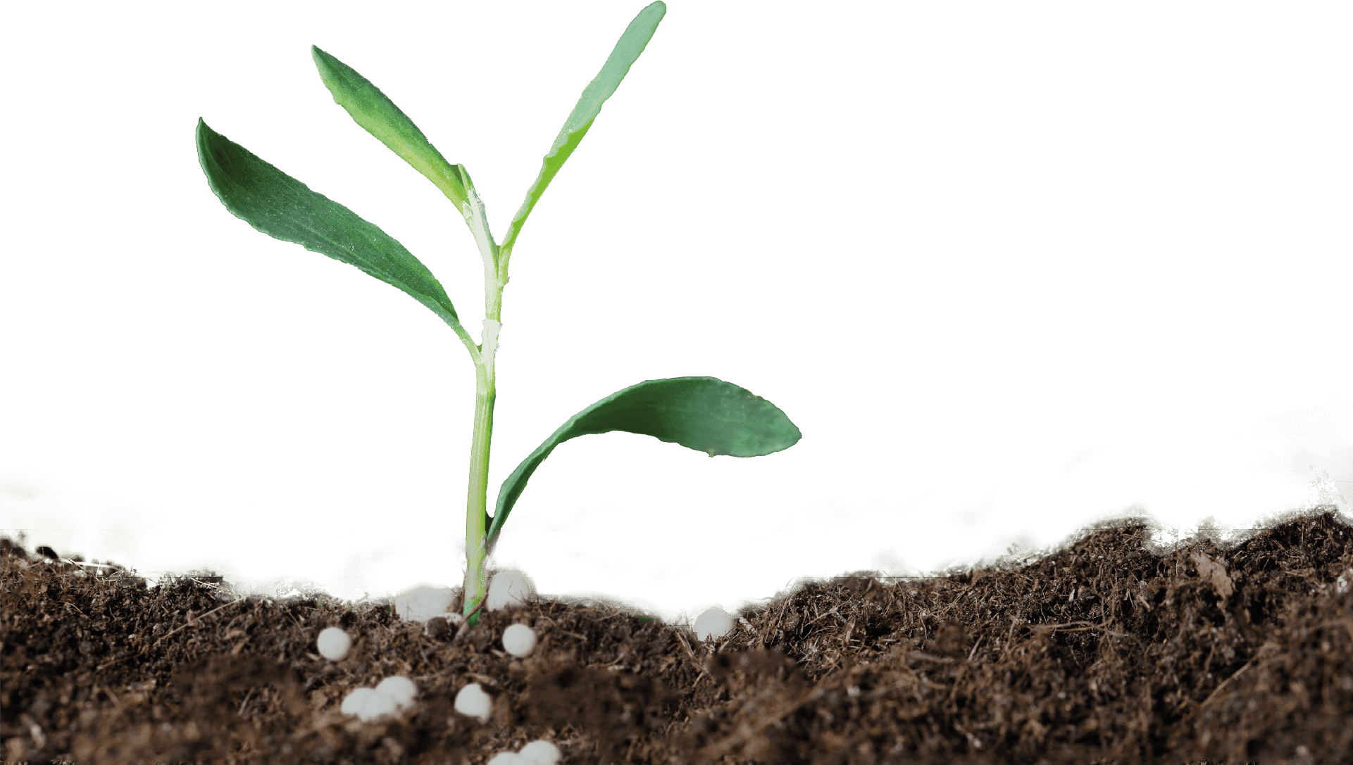 Технологии переработки фосфогипса