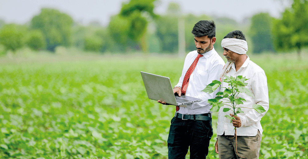 индия удобрения