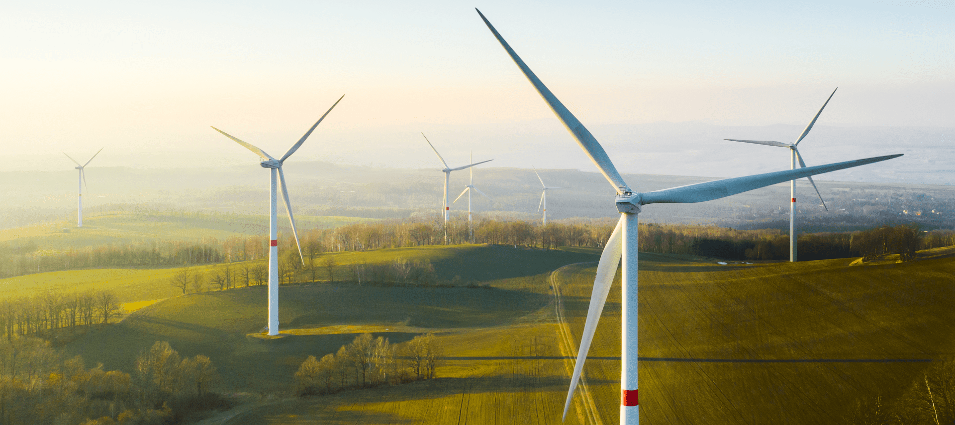 Отчет об экологии