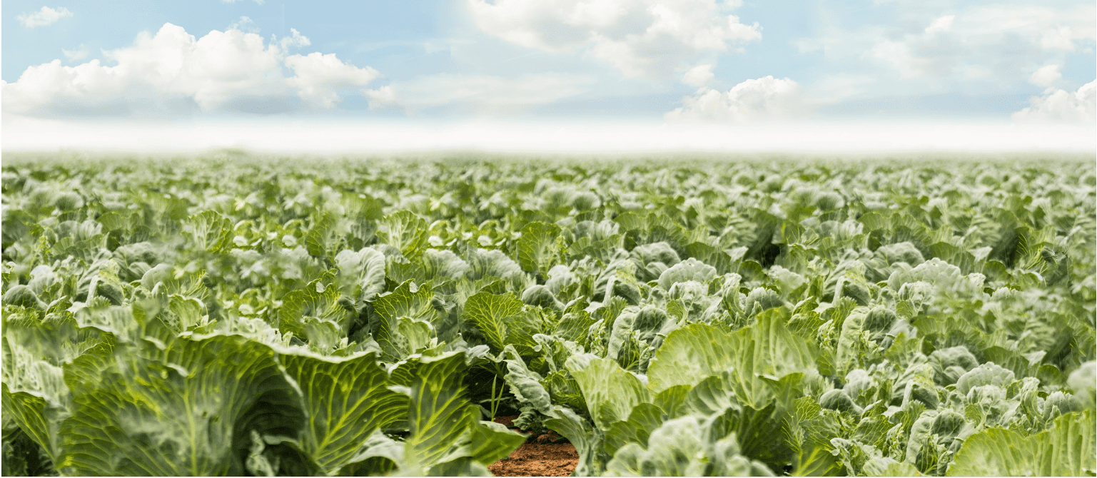 Потребители и управление продукцией