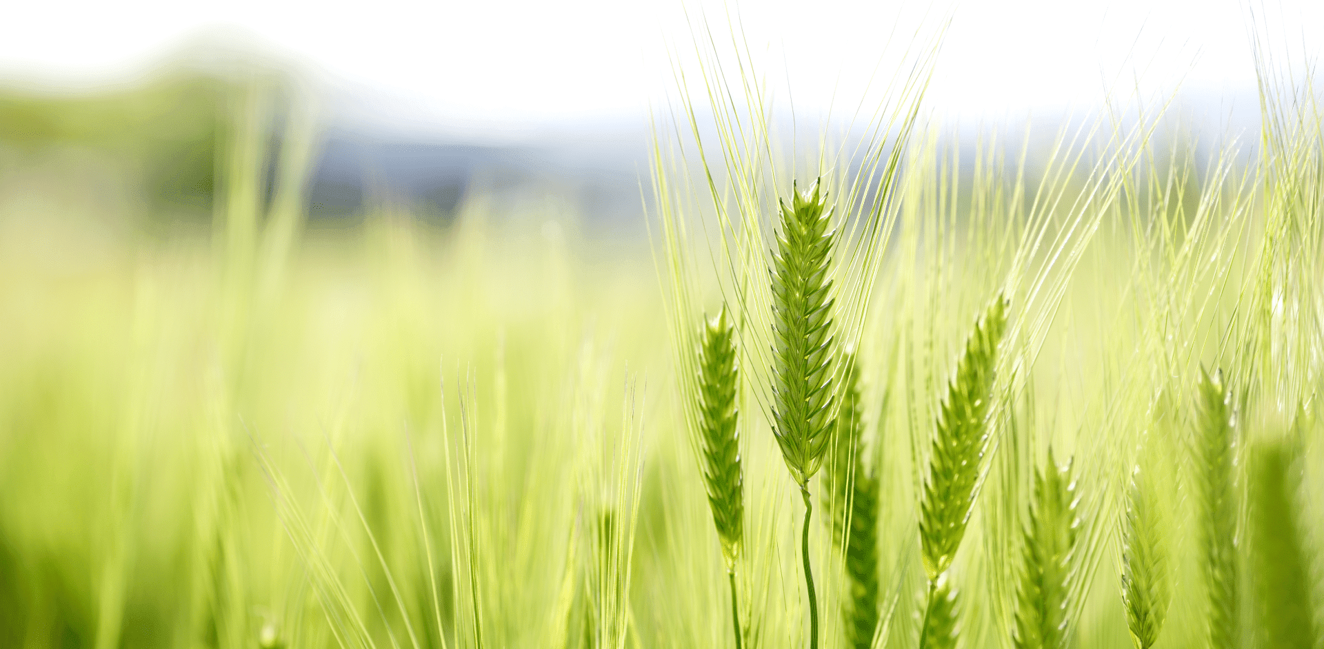 Цепочка поставок